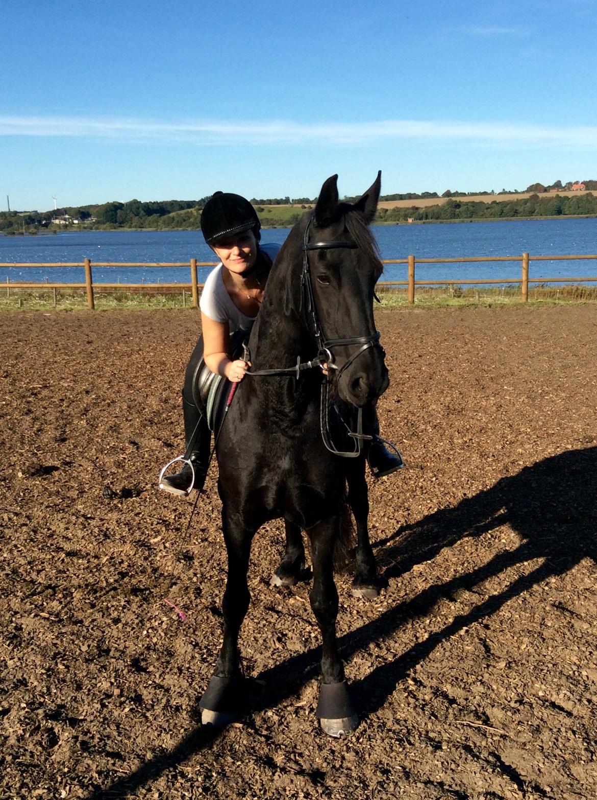 Frieser Mira of paradise billede 9