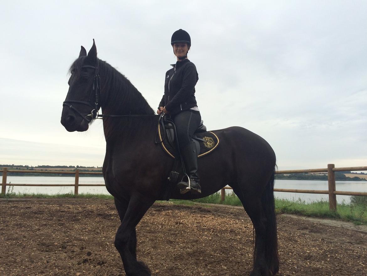 Frieser Mira of paradise billede 10