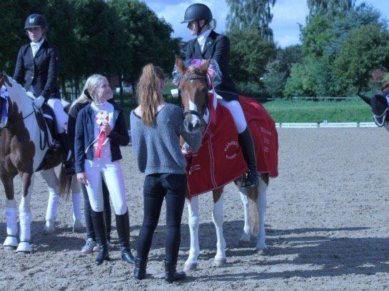 Pinto Araber Felix B-pony og 1/3 A-pony billede 18