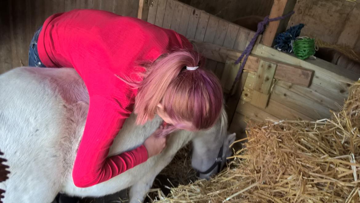 Anden særlig race Marco billede 6