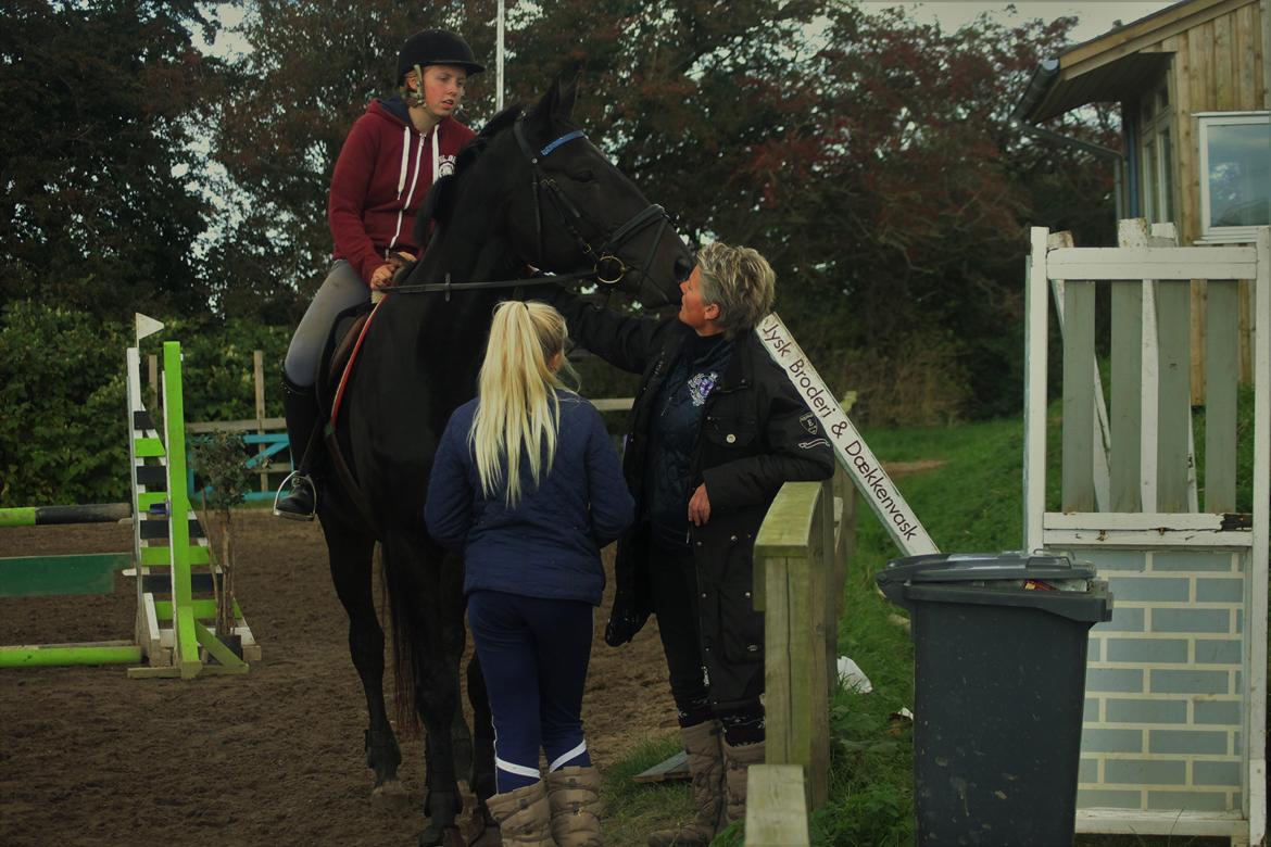Holstener Le figaro - Figaro med ejeren og mig på ryggen :) billede 3