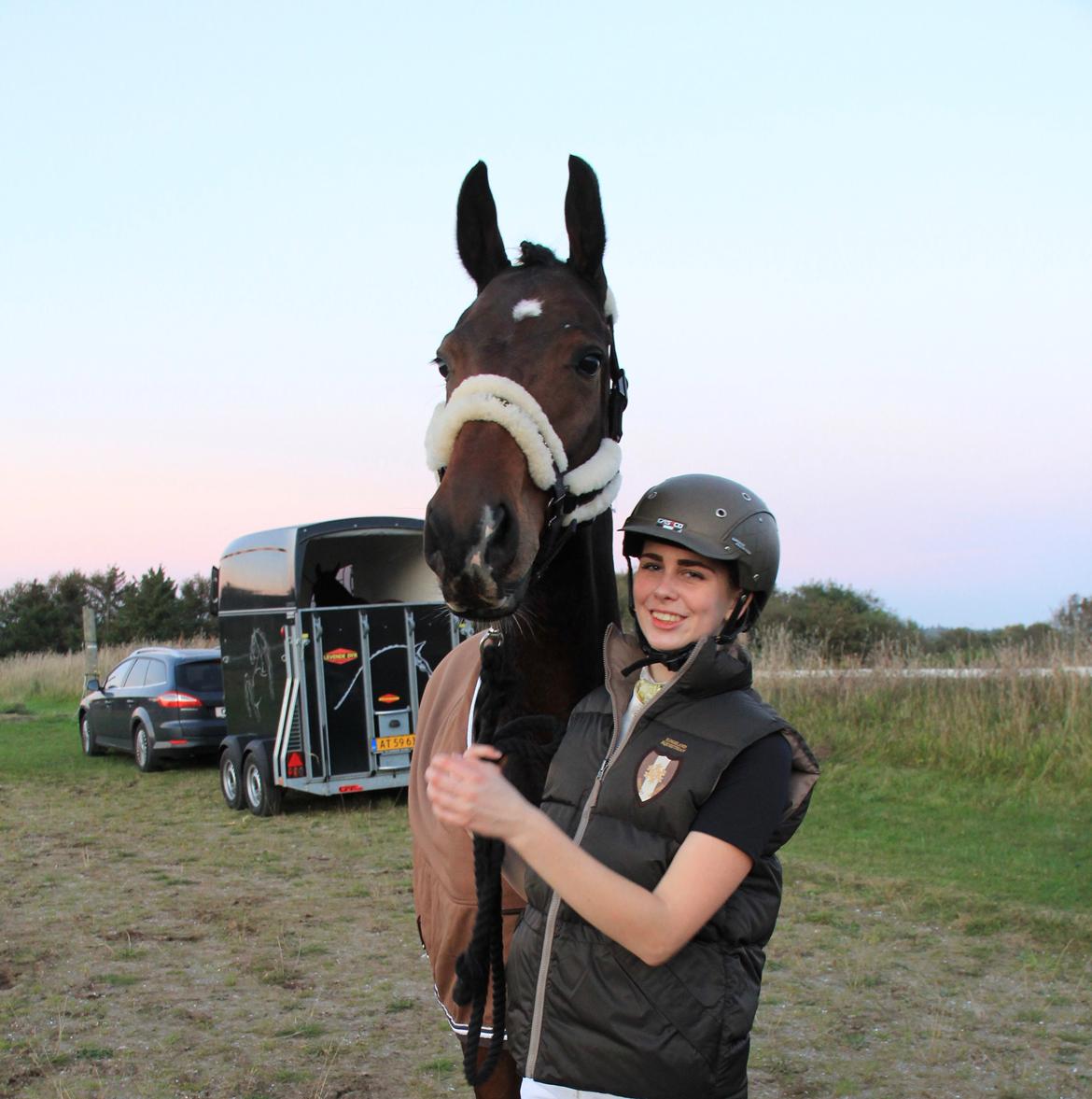 Dansk Varmblod Demi af Hedensminde billede 16