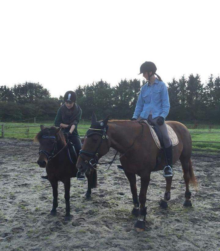 Knabstrupper Meicas Lala - yndlings team billede 16