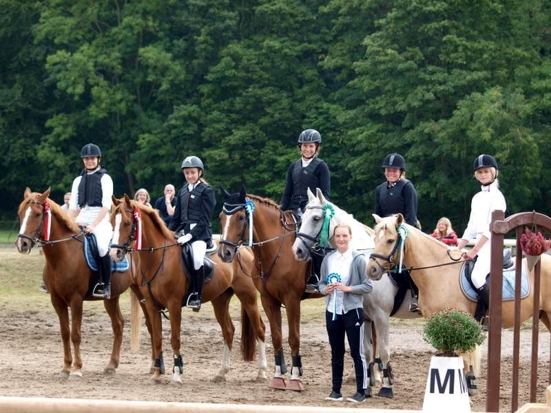 Tysk Oldenburger Lifestyle billede 2