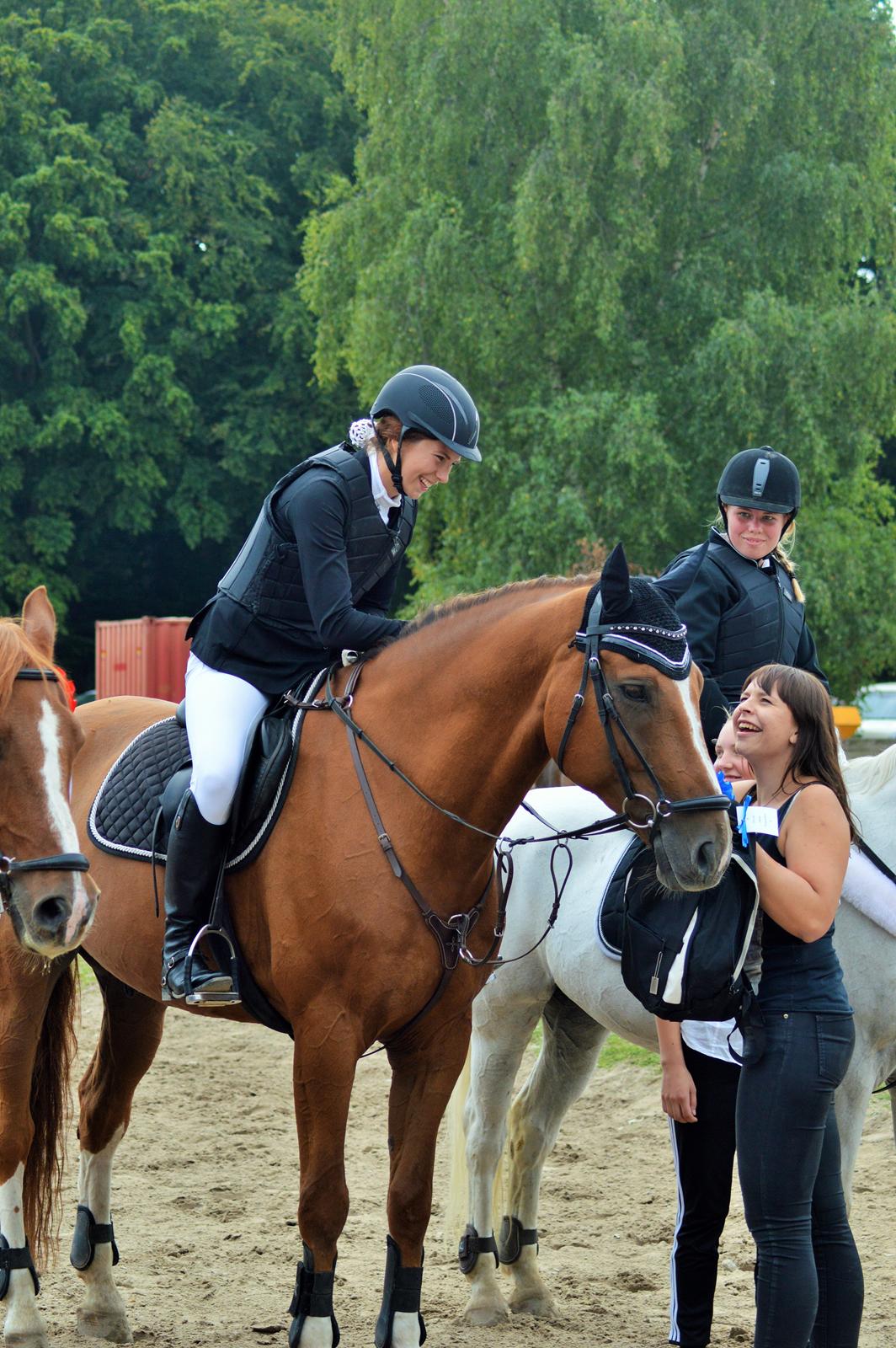 Tysk Oldenburger Lifestyle billede 17