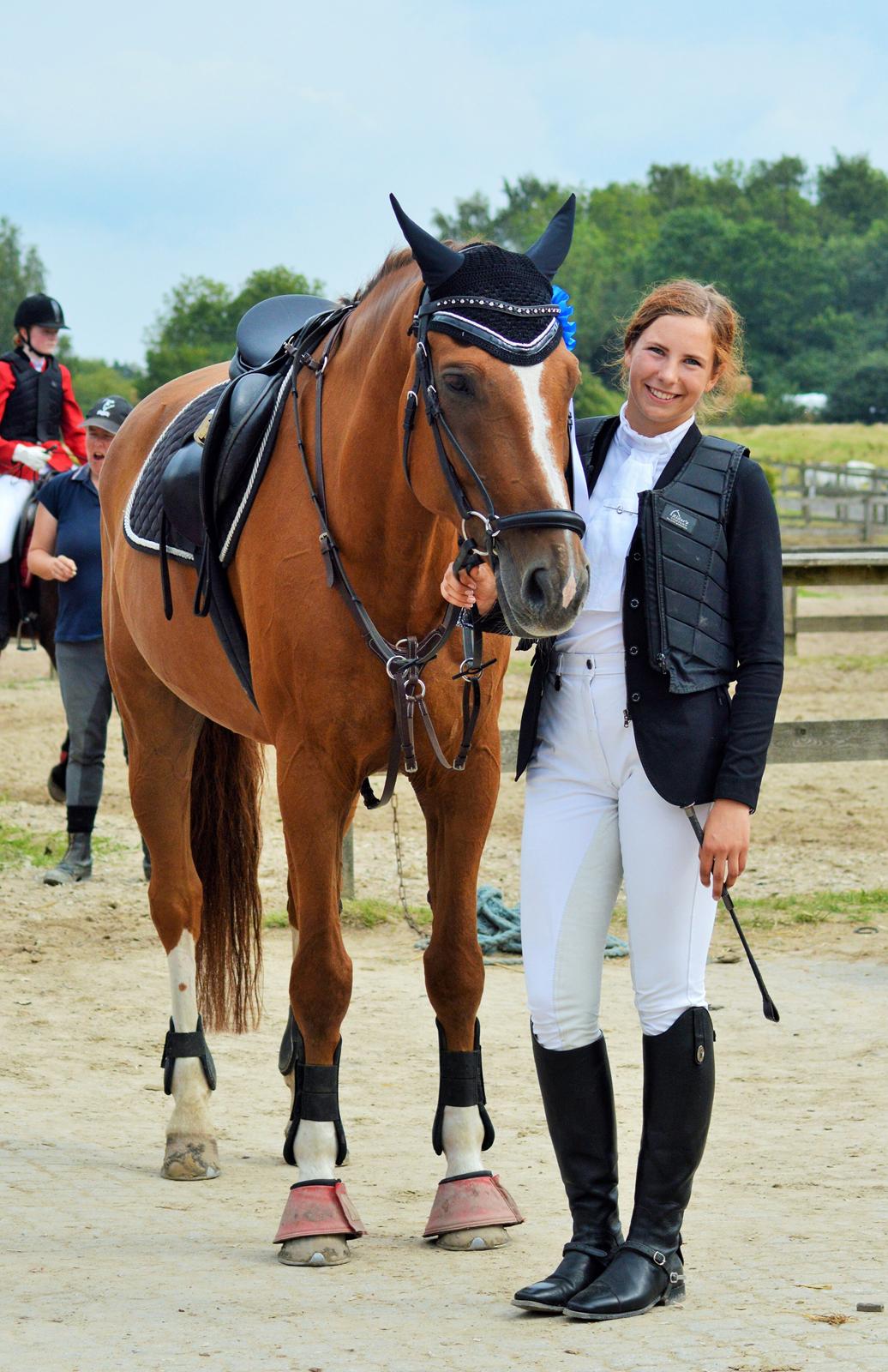 Tysk Oldenburger Lifestyle billede 14