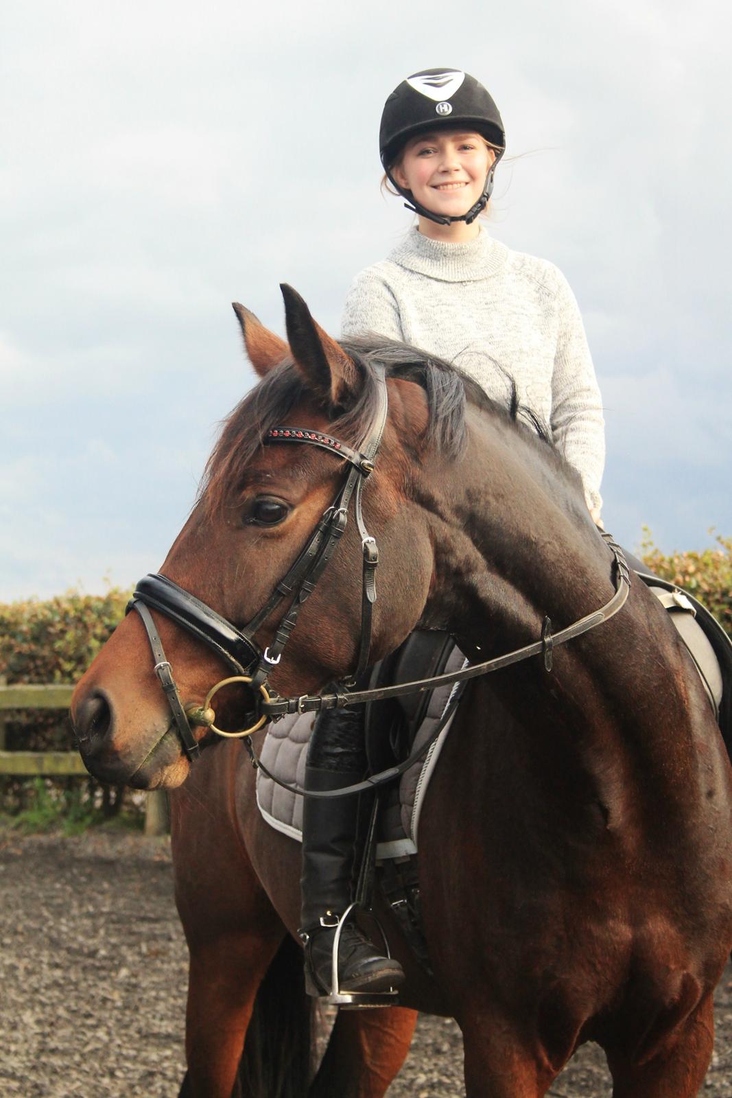 Dansk Varmblod Angelina - Dejlig hest 12-11-2015 billede 7