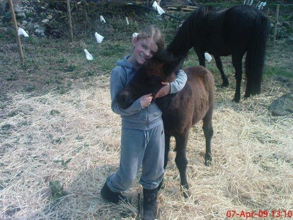Islænder Markús fra Vestergaard billede 13