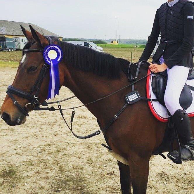 DSP Bæklunds Arquette - 2. plads i mb <3 billede 15