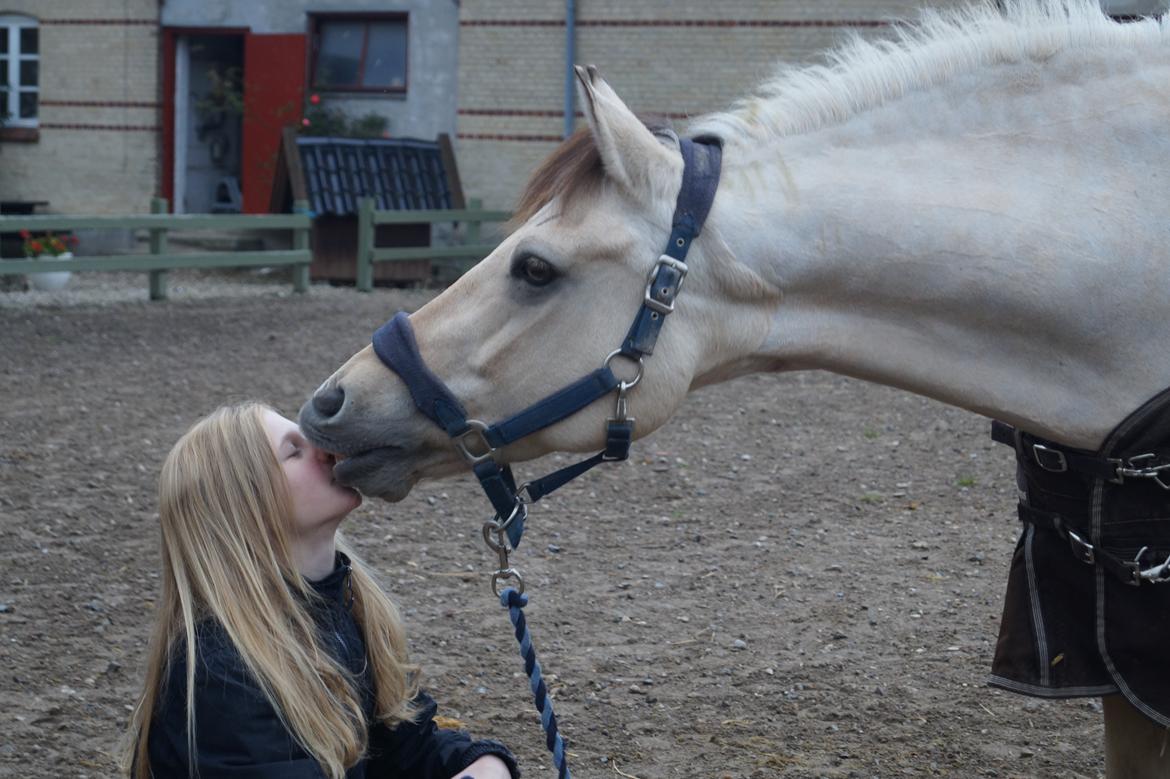 Anden særlig race Felix billede 15