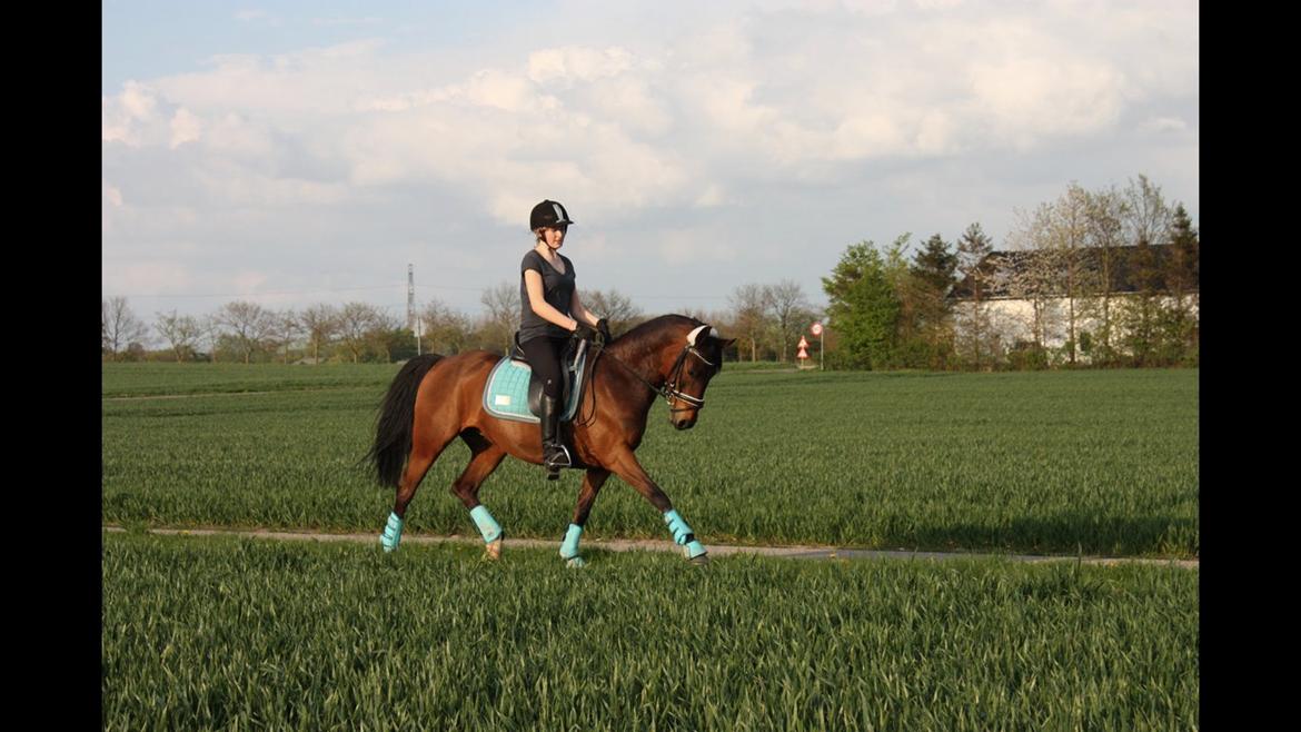 Anden særlig race Dücell - <3 billede 9