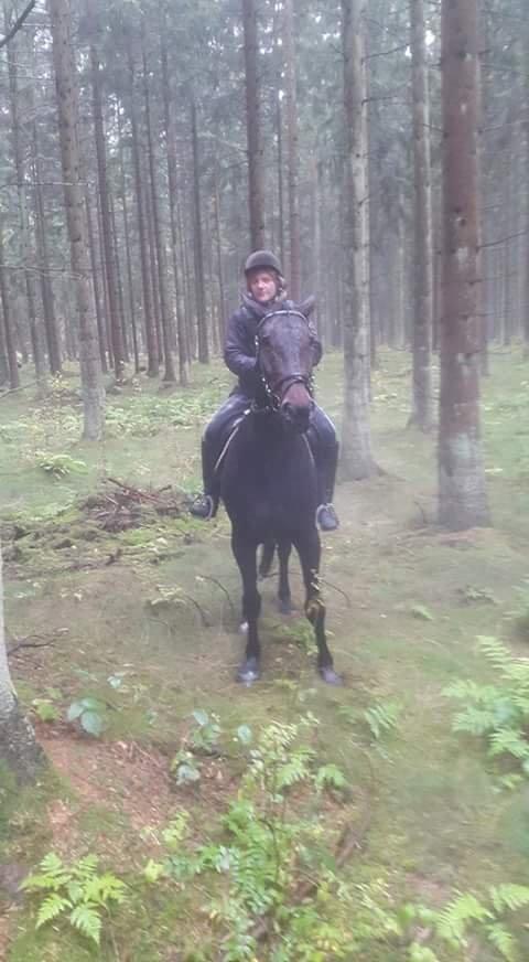 Traver Havanna Sisu (pusle) billede 10