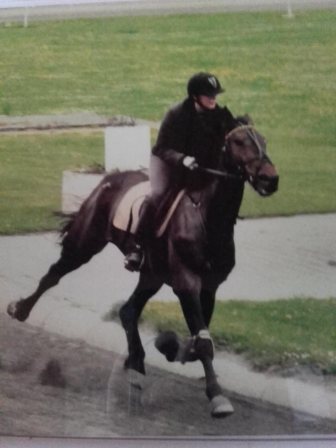 Traver Havanna Sisu (pusle) billede 1