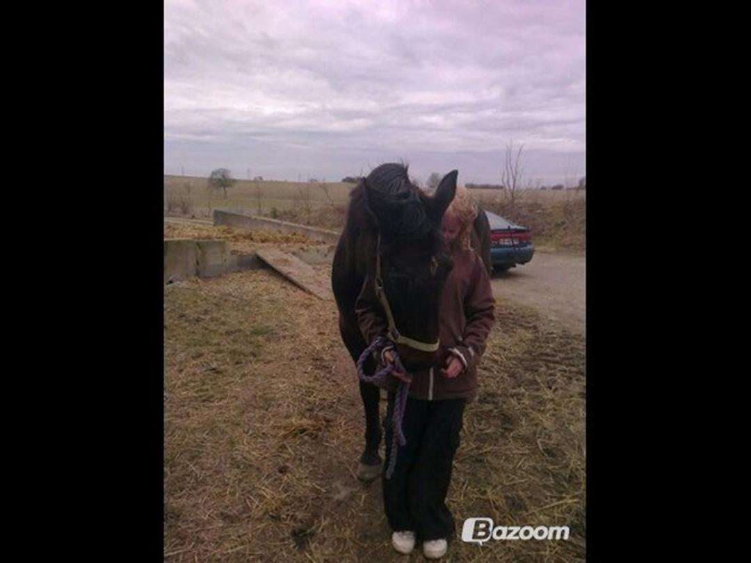 Traver Harley  - elsker det billede efter en god bøsset  billede 18