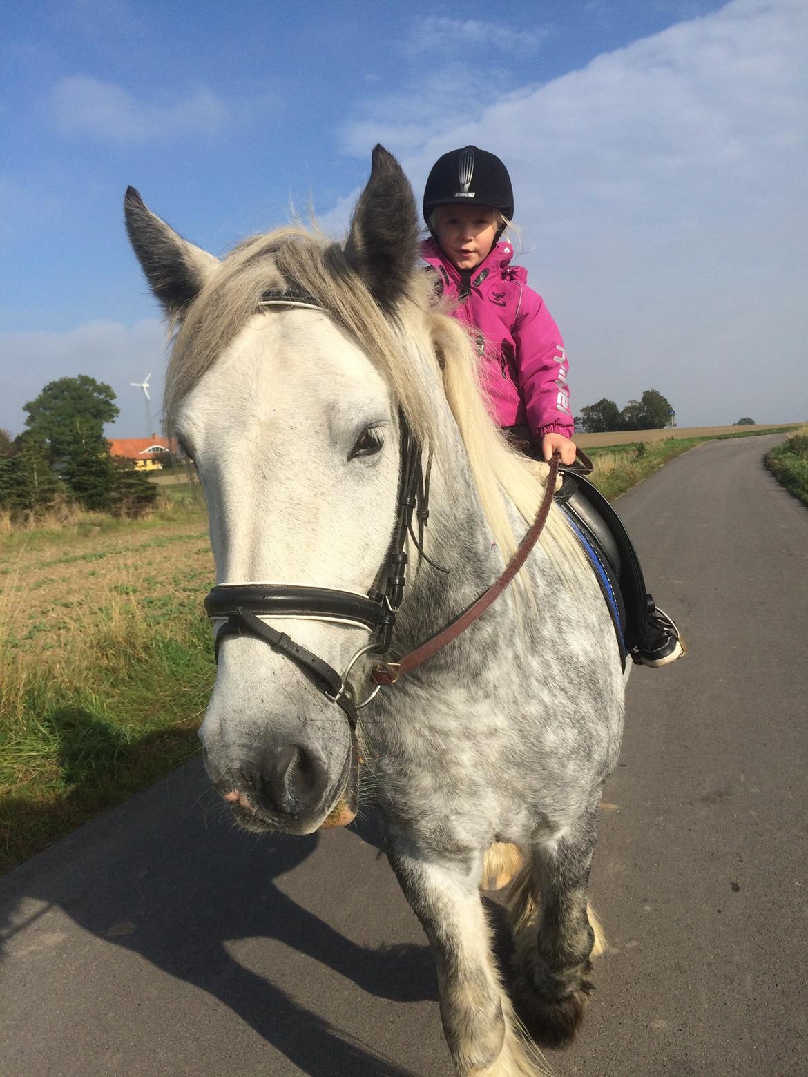 Tinker Manse (Tidligere Conn) billede 7