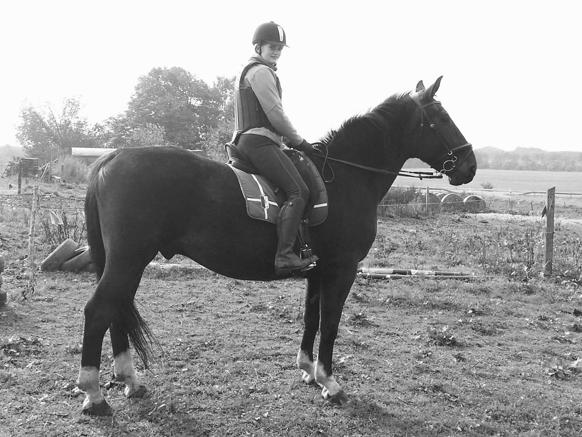 Oldenborg Tzigane - Altid med - Aldrig uden! <3 (15. oktober 2015) billede 1