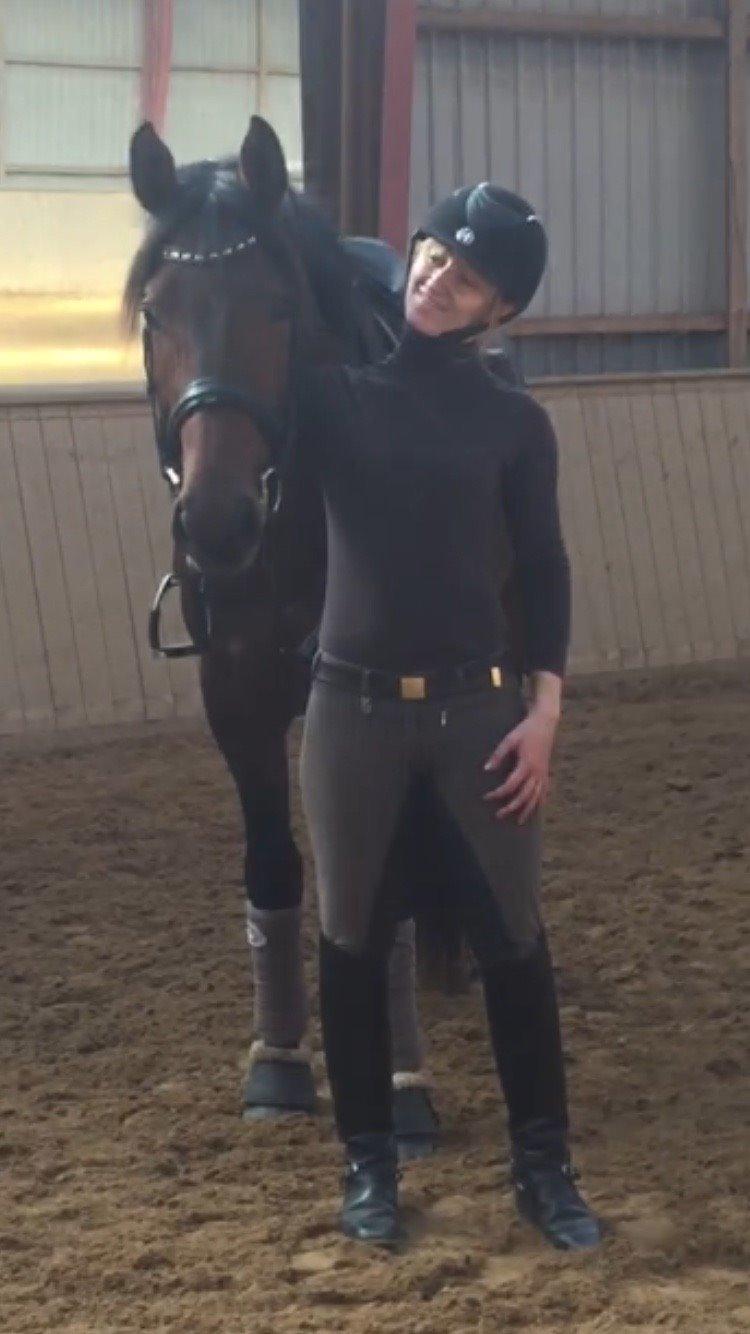 Dansk Varmblod Gredstedgaards Locksley billede 14