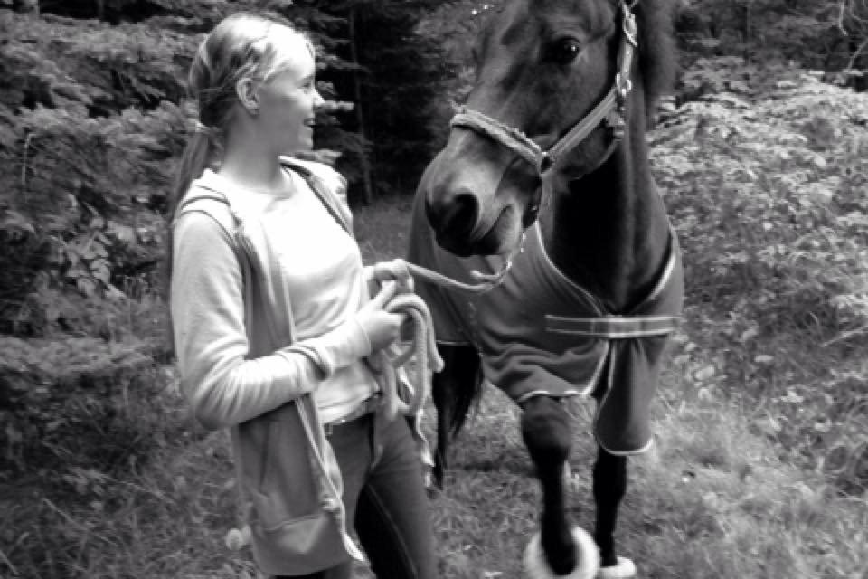 New Forest Holsdams Martiin billede 12