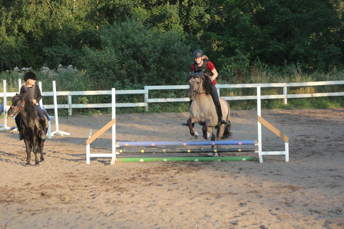 Anden særlig race Bertha billede 20