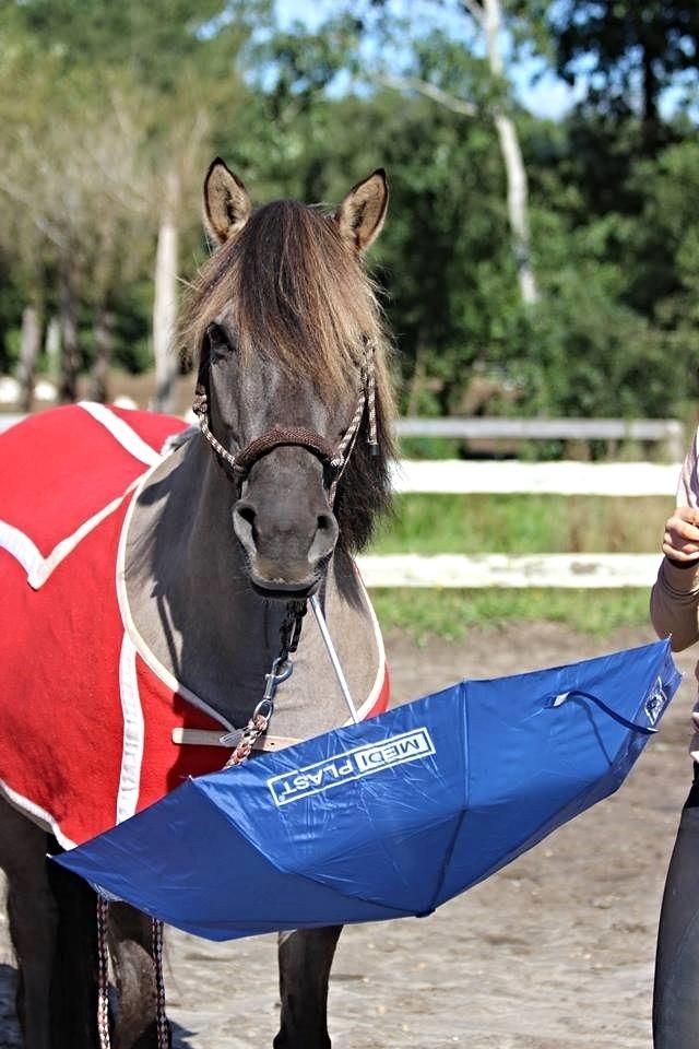 Anden særlig race Bertha billede 4