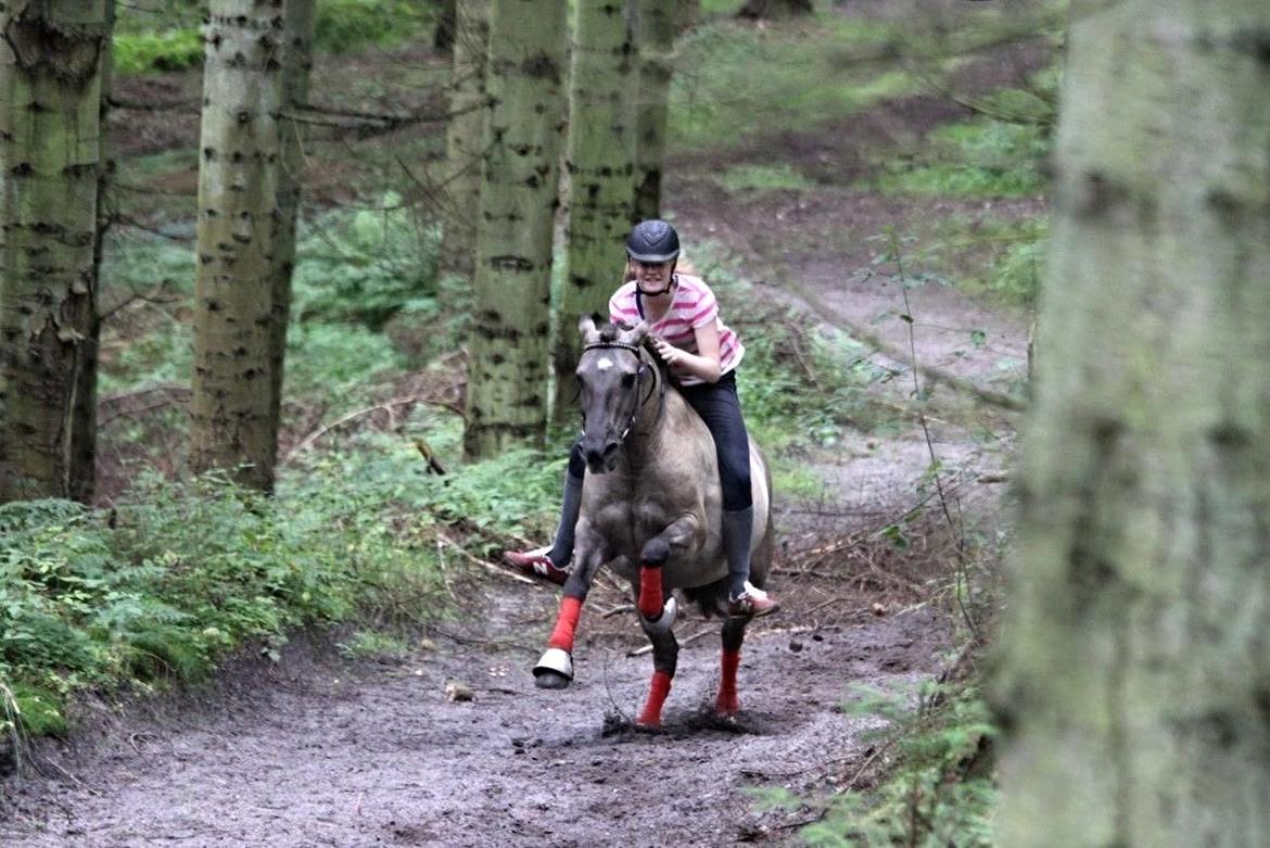Anden særlig race Bertha - Fuld galop! billede 7