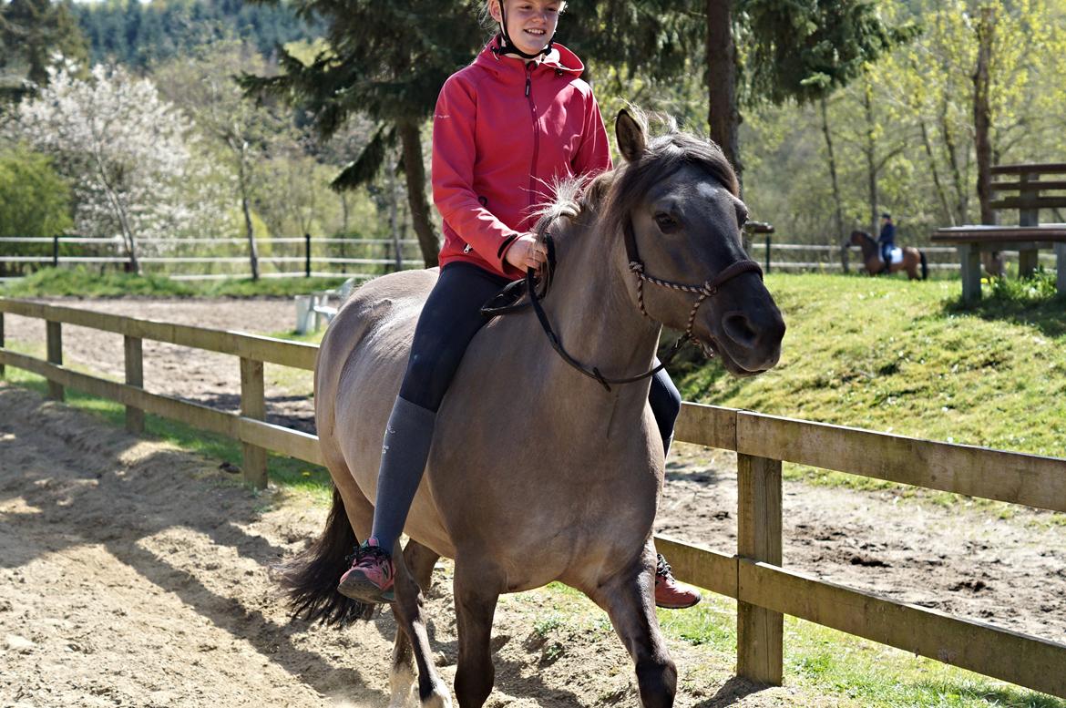 Anden særlig race Bertha billede 17