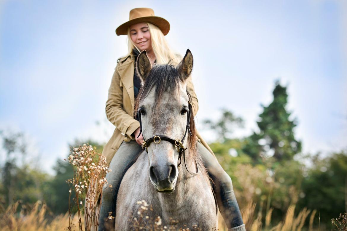 Pura Raza Española BS Alvaro billede 13