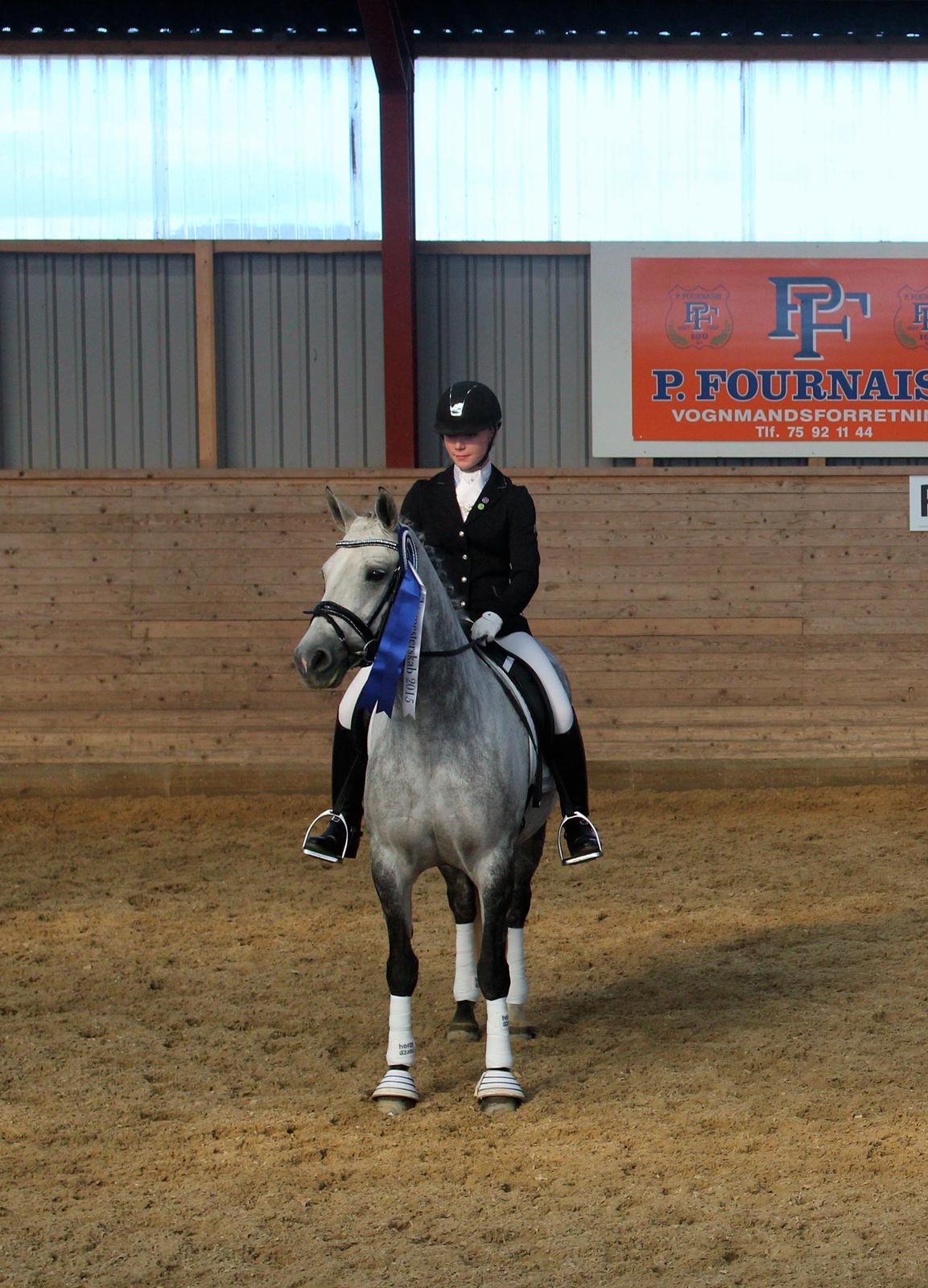 Connemara Mosegårdens Mascha  - #2 til D-10 mesterskabet for hold 2015! vi var la5 ekvipagen <3 billede 2