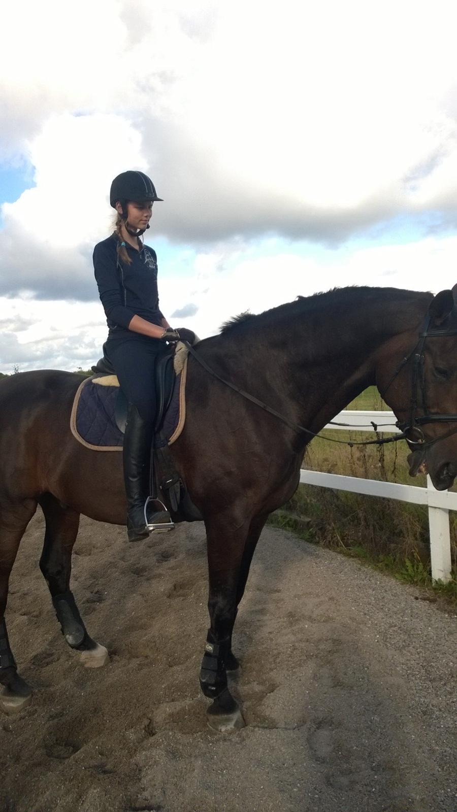 Dansk Varmblod Jivaro - Fra første gang på ryggen af Jivaro - da vi var hos Marie Louise for at prøve ham. billede 1