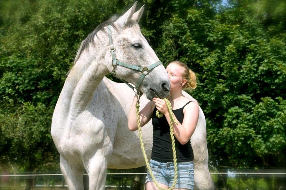 Anden særlig race Gaystar Clinton - solgt billede 1