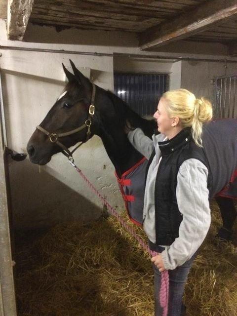 Traver Alica Gold  billede 26