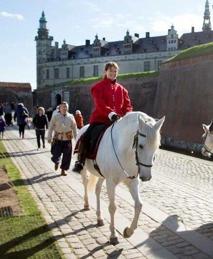 Lusitano Zapatero (spa) billede 49