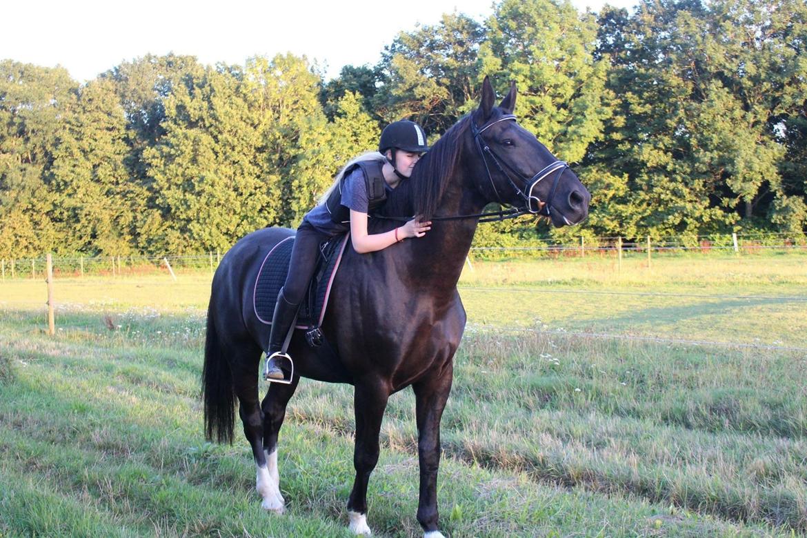 Oldenborg Horsebjergs galanto - Første skridttur alene :) billede 5