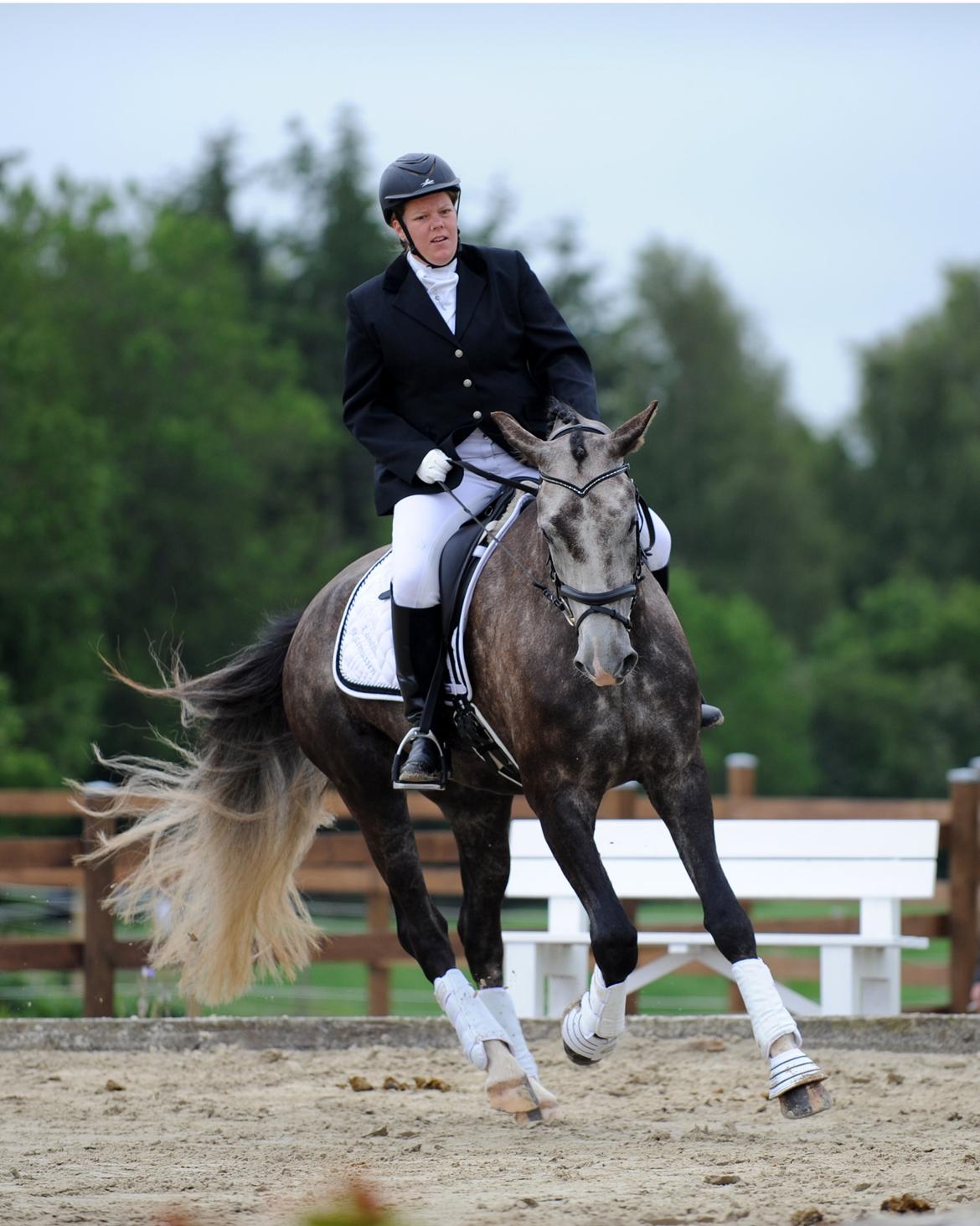 Anden særlig race Stendalsgaards d'luxe [Himmelhest] billede 2