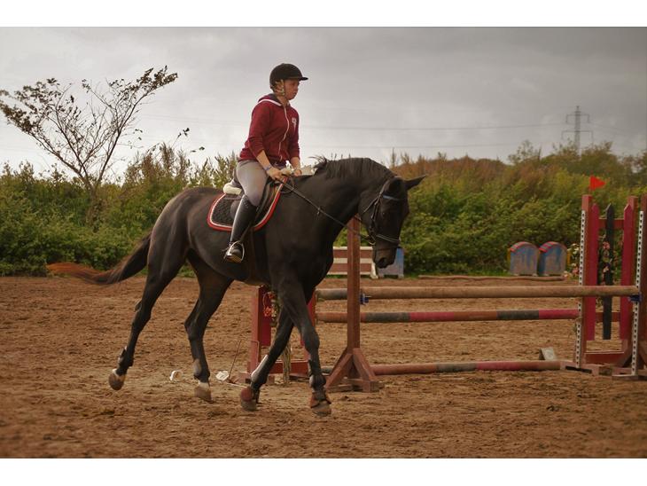 {{currentPhoto.altText}} billede {{currentPhoto.number}}