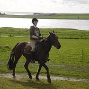 Traver ZAMBEZI solgt