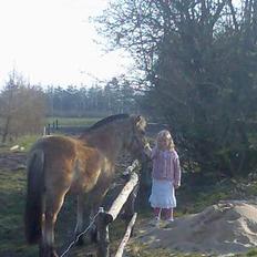 Anden særlig race Gravgaard's Mille