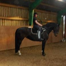 Oldenborg Cille 