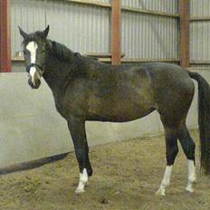 Anden særlig race Faighters Fa-Z