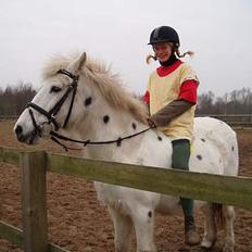 Anden særlig race Don Felix