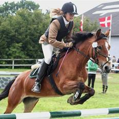 Anden særlig race Nielsen's Little Star 