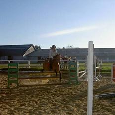 Anden særlig race Nielsen's Little Star 