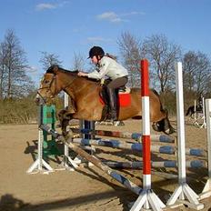 Anden særlig race Nielsen's Little Star 