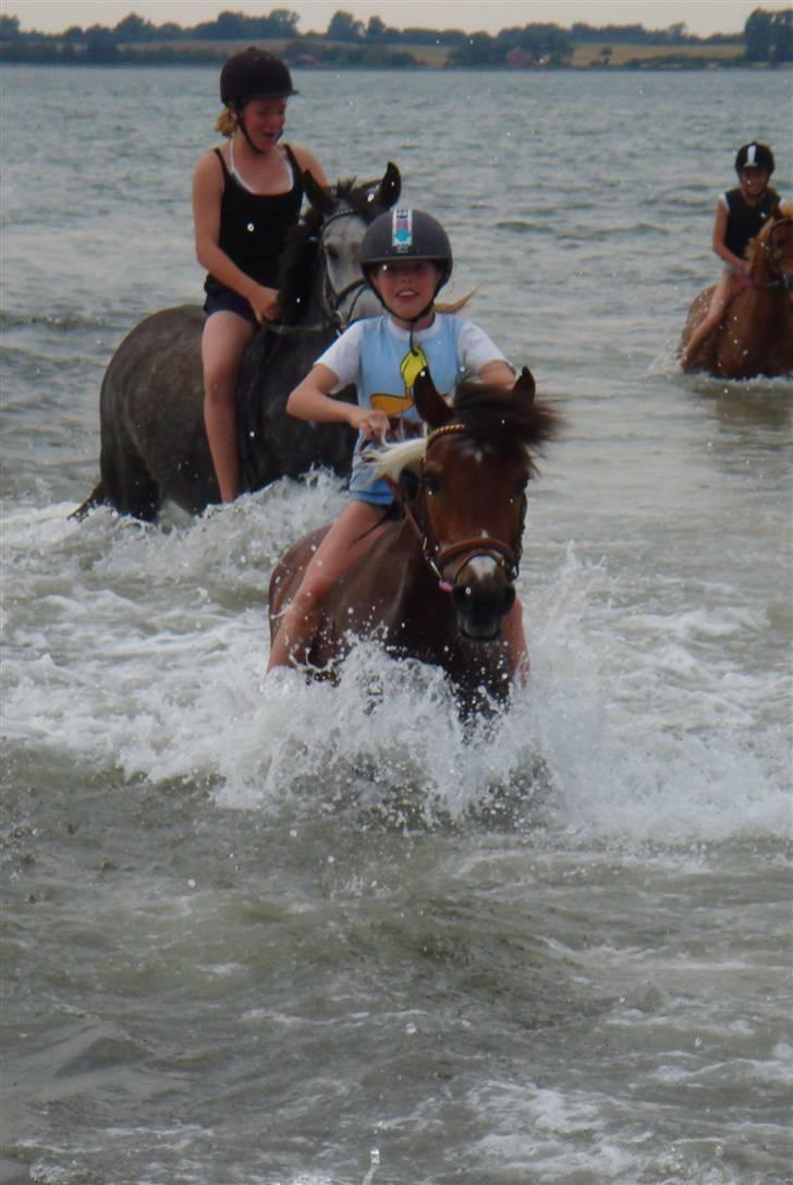 Anden særlig race Cool Spot*SOLGT* - Vandet spøjter ej hvor var det sjovt skat. Kun fordi du var mned  billede 5