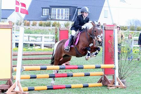 Anden særlig race Cool Spot*SOLGT* - til stævne på kellerup foto: taget af : QUTZEN billede 6