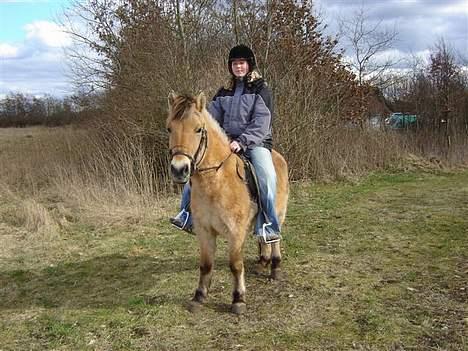 Anden særlig race Gravgaard's Musse - April 2006 billede 6