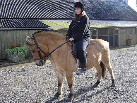 Anden særlig race Gravgaard's Musse - Første tur efter hun fik Mille. Hun var ret oppe at køre :) 2006. billede 9