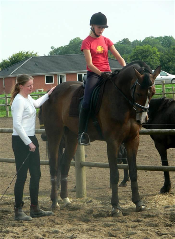 Dansk Varmblod Flying dream - Aflivet  - Dressur kursus. hos maria a. Vi prøvede at øve lidt piaf og passage : P billede 20