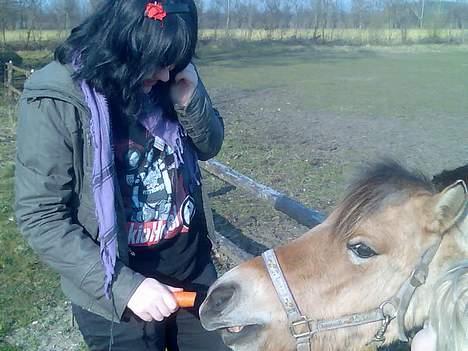 Anden særlig race Gravgaard's Mille - Lillesøster, Marlene, giver Mille gulerod :) billede 6