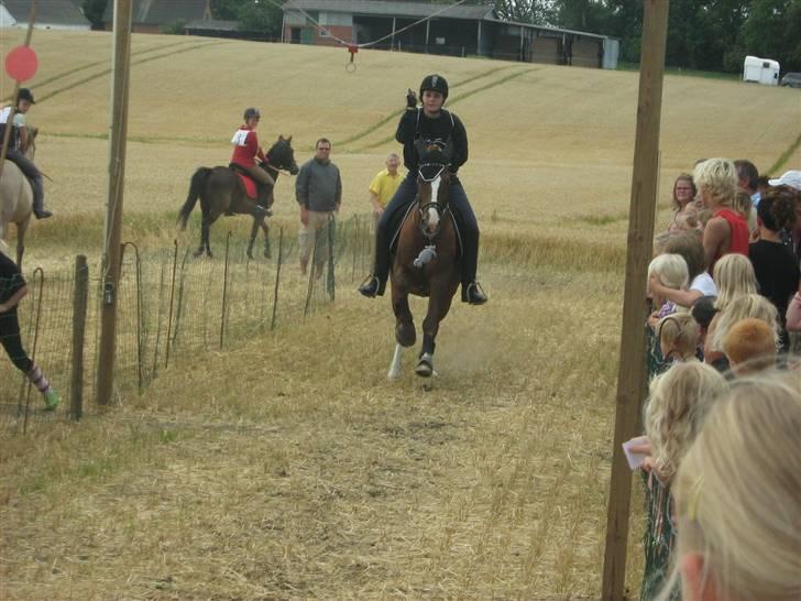 New Forest hunter<33 - kig ikke på mig :P  billede 6